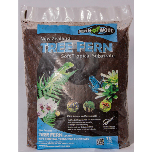 new zealand tree fern soft tropical substrate